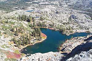 Lacustrine ecosystem in central Nevada County